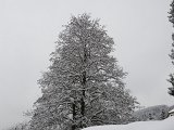 Wintereinbruch - 34.jpg